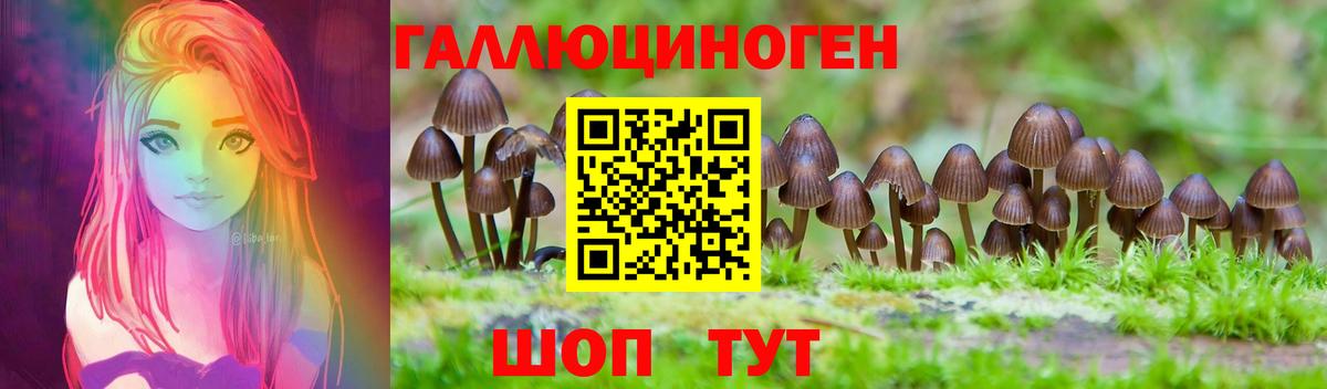 наркота  Псилоцибиновые грибы ЛСД  Вход с VPN  Аша  Галлюциногенные грибы ЛСД 